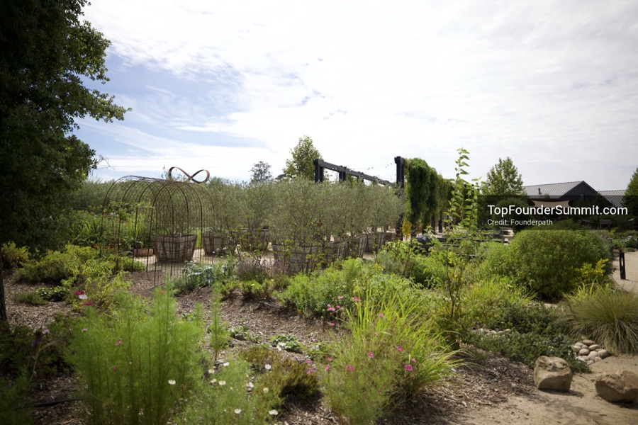 Stanly Ranch and the Napa Valley vineyards on day two of the Top Founders Summit